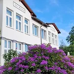 Stranddistel - Von 30 Bis 75 Qm Zinnowitz