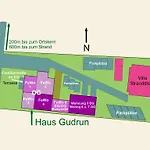 Stranddistel - Von 30 Bis 75 Qm