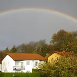 Stranddistel - Von 30 Bis 75 Qm *
