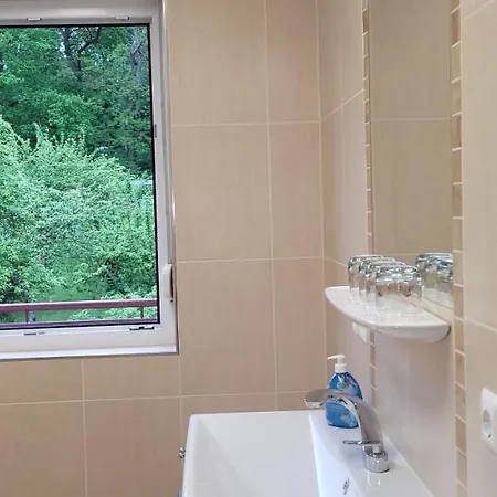 Stranddistel - Von 30 Bis 75 Qm * زينوويتز