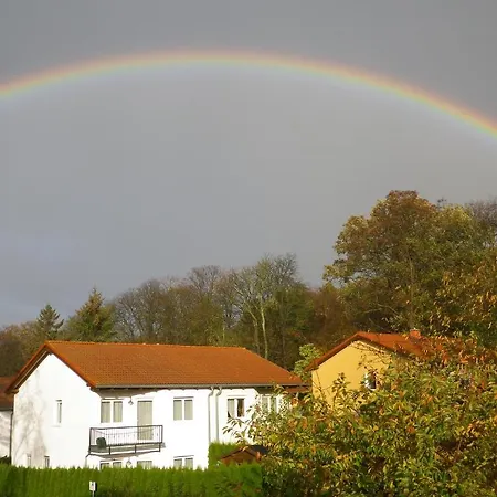 Stranddistel - Von 30 Bis 75 Qm *