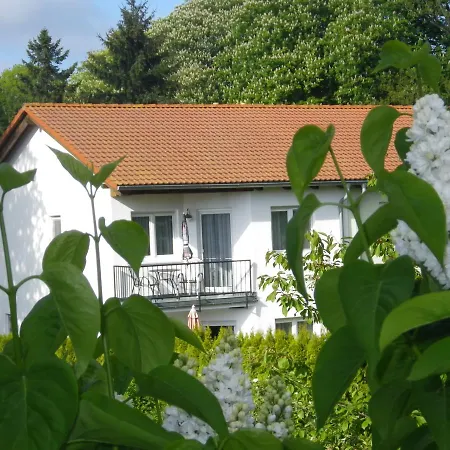 Stranddistel - Von 30 Bis 75 Qm * Zinnowitz