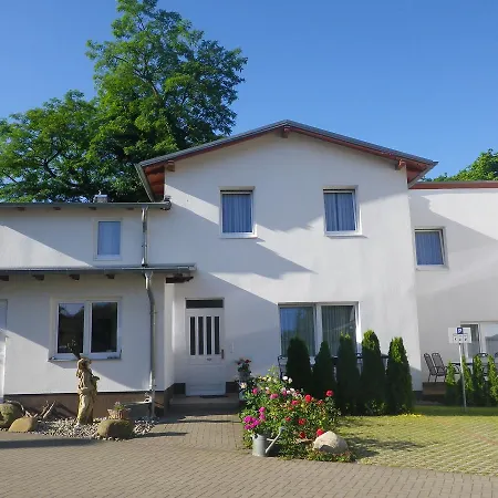 Stranddistel - Von 30 Bis 75 Qm زينوويتز