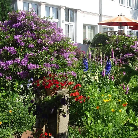 Stranddistel - Von 30 Bis 75 Qm * Zinnowitz
